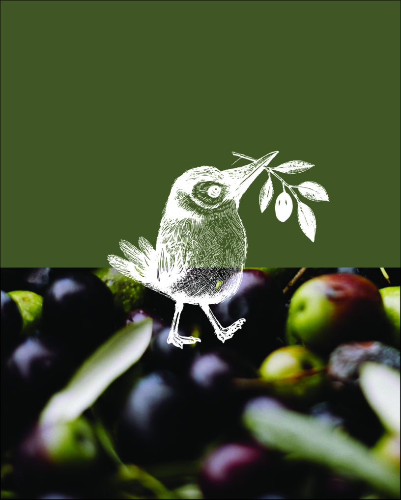 LOGOTIPO VECTORIAL ACEITE VALLE ANGOSTURA OCT 2025