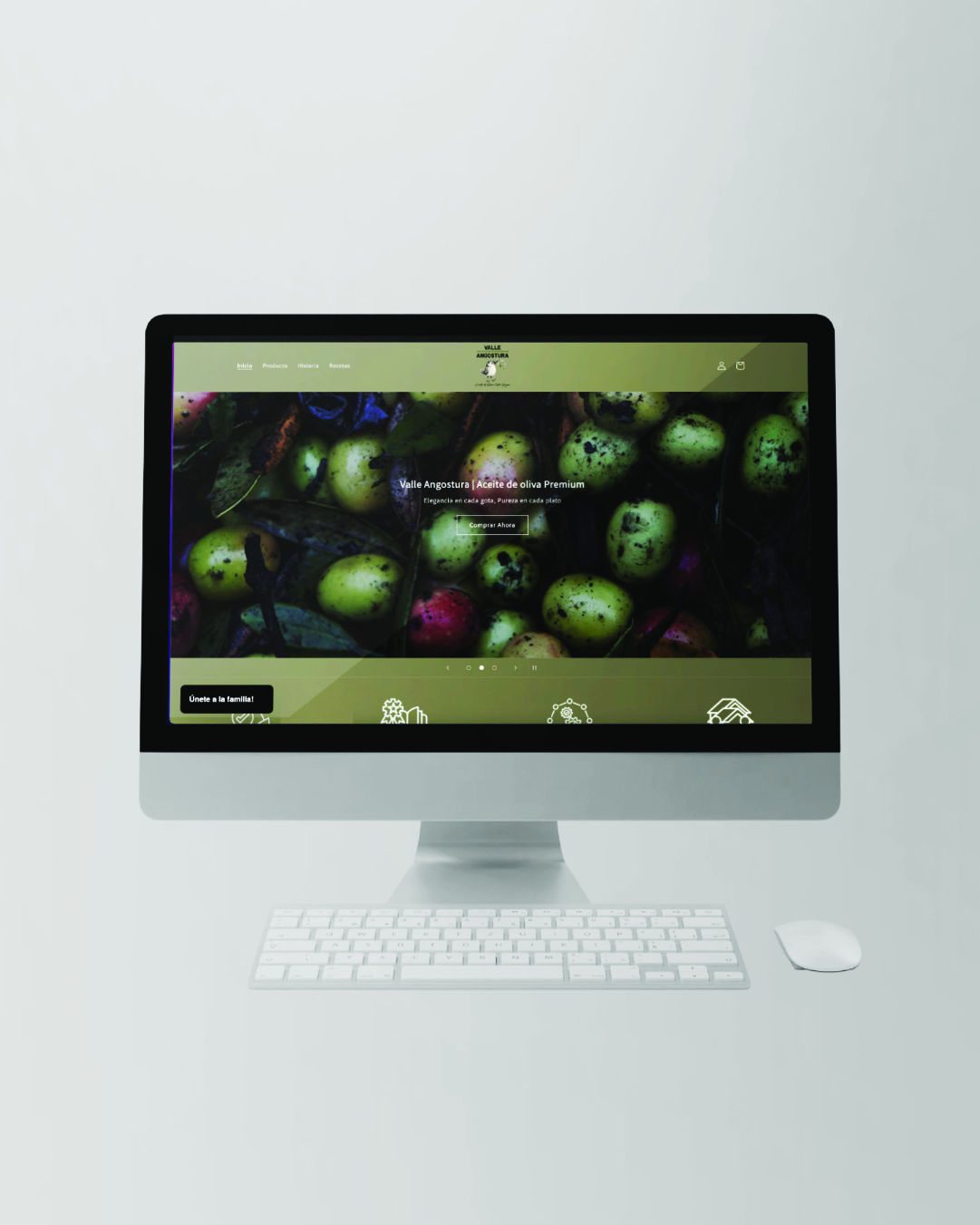 SITIO WEB ACEITE VALLE ANGOSTURA OCT 2025