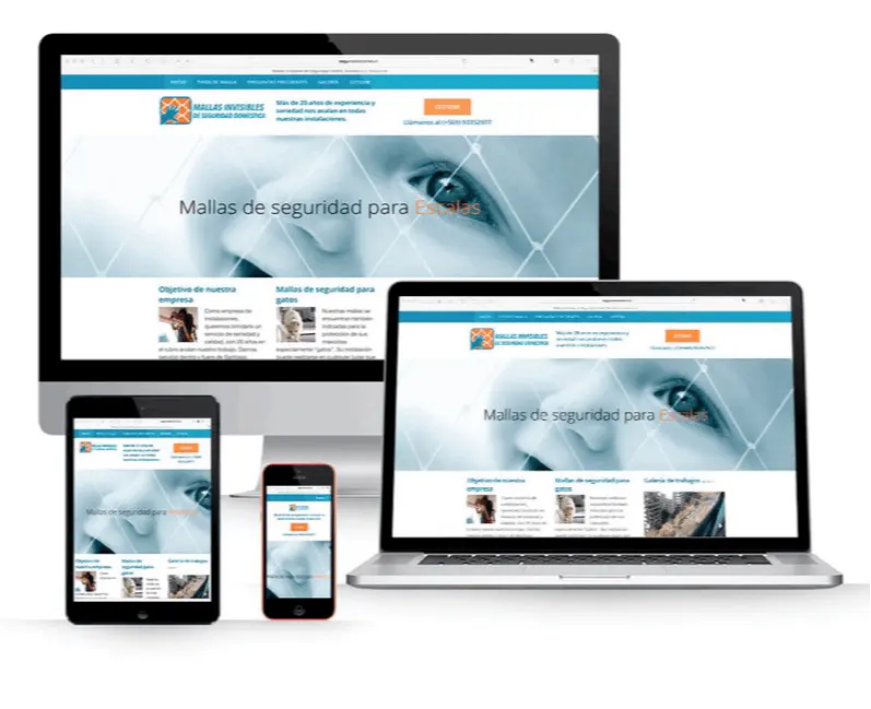 diseno-construccion-paginas-web_arcaya