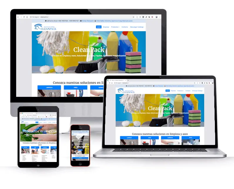 diseno-construccion-paginas-web_cleapack