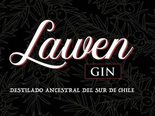 diseno-logotipos-marcas-Gin Artesanal