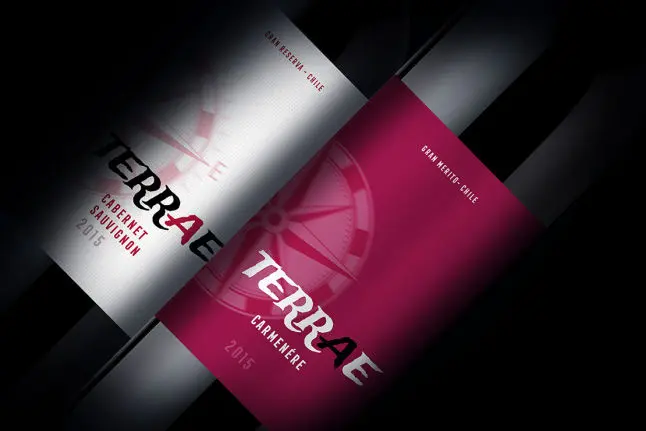 diseno-packaging-etiquetas-viña Terrae