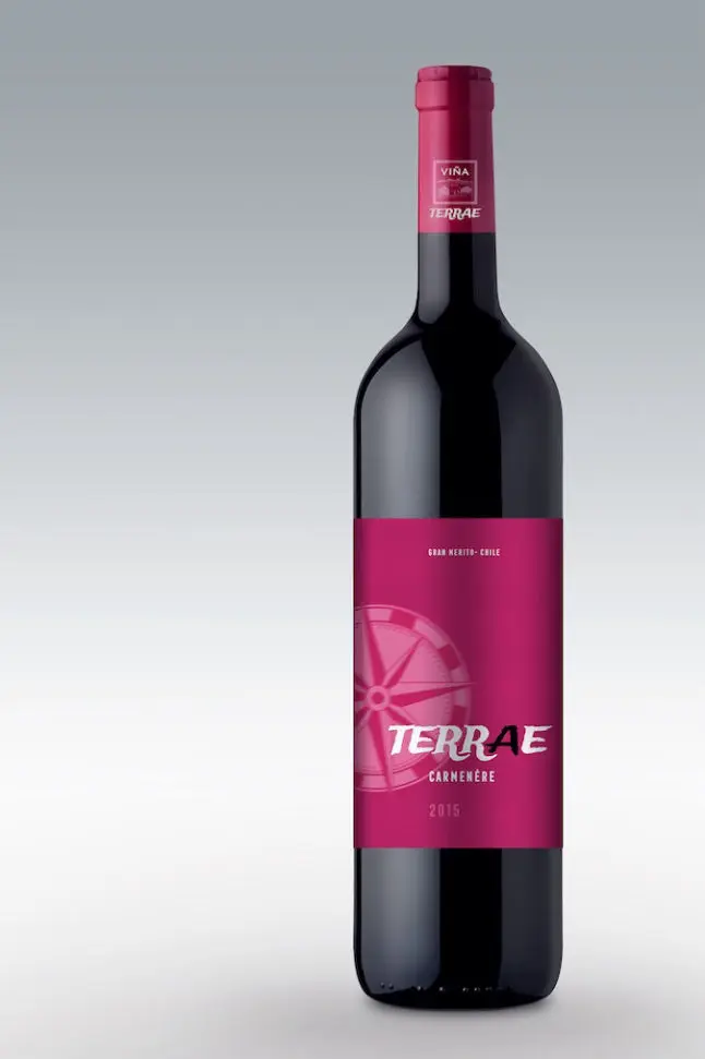 diseno-packaging-etiquetas-viña Terrae